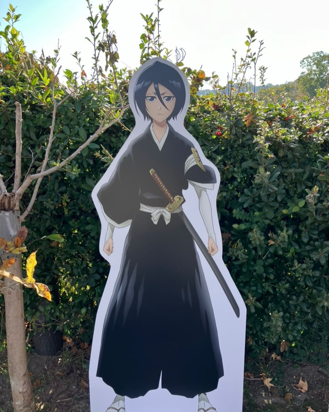 BLEACH 千年血戦篇』×ニジゲンノモリ コラボイベント | 【公式